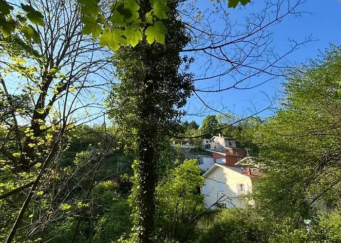 Maison Mori